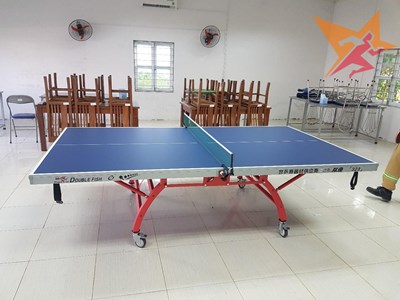 Hình ảnh thực tế bàn bóng bàn Double fish 323